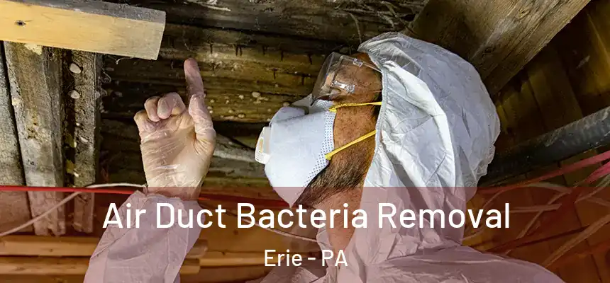 Air Duct Bacteria Removal Erie - PA