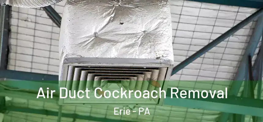  Air Duct Cockroach Removal Erie - PA