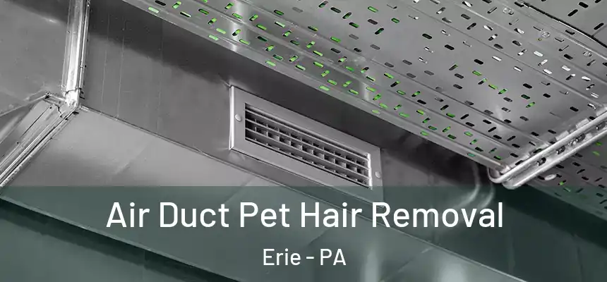 Air Duct Pet Hair Removal Erie - PA