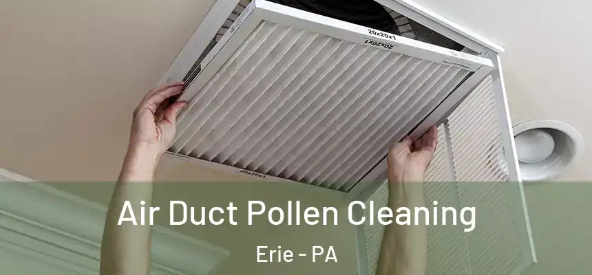  Air Duct Pollen Cleaning Erie - PA
