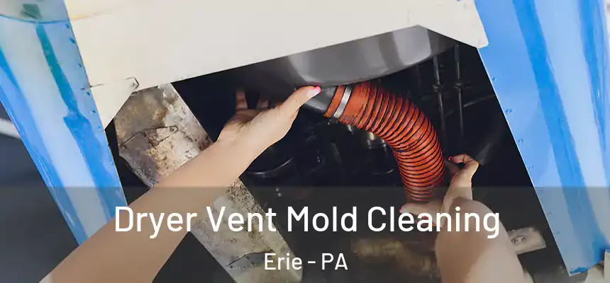 Dryer Vent Mold Cleaning Erie - PA