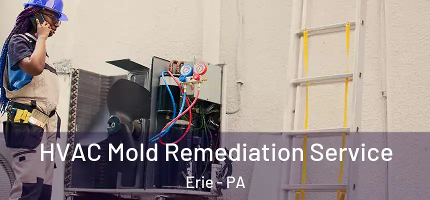  HVAC Mold Remediation Service Erie - PA