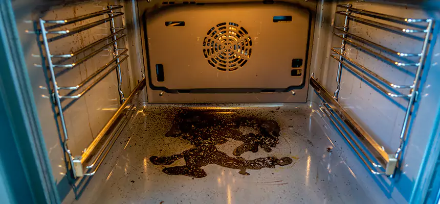 Our Dryer Vent Mold Cleaning Services in Erie, PA