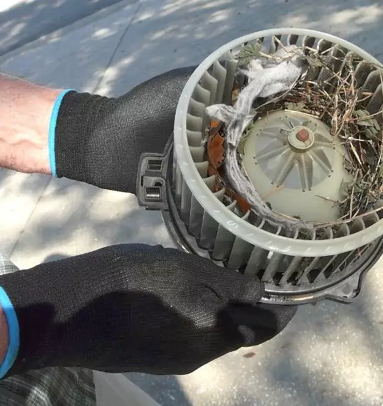 About Air Duct Mice Removal in Erie, PA