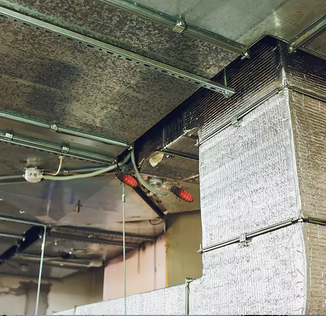 Why Homeowners & Businesses Trust Us in Erie, PA?