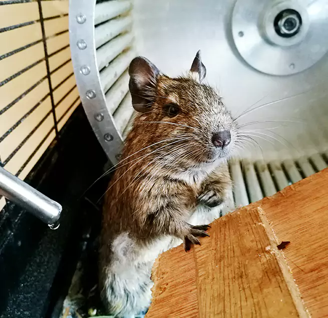 Why Homeowners & Businesses Trust Us Erie, PA